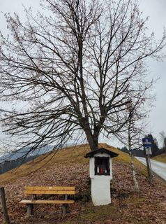 Foto von mmecki entlang der Tour