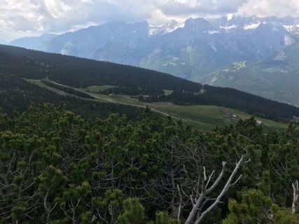 Photo de Heikoala le long du parcours