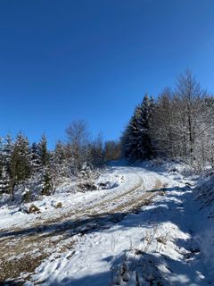 Fotografie z Mario Klauser na trase
