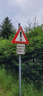 Fotografie z Nicky na trase