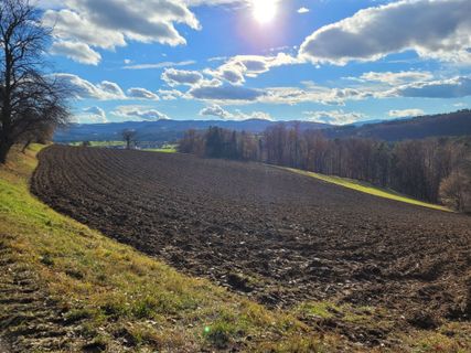Fotografija s spletne strani mmecki na poti