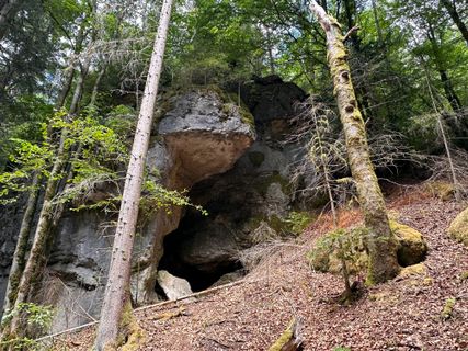 Fotografie z Norbert Herbig na trase