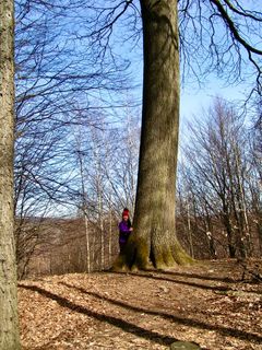 Photo de Kellner Heidi le long du parcours