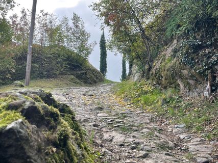 Photo de Norbert Herbig le long du parcours