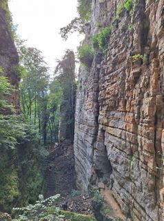 Zdjęcie z Jaap Rozeboom wzdłuż trasy