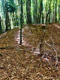 Fotografia z Kellner Heidi na trase