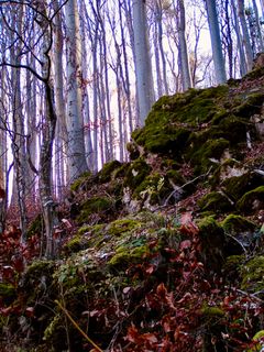Kuva osoitteesta Kellner Heidi matkan varrella