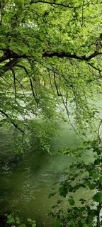 Photo de Anna le long du parcours