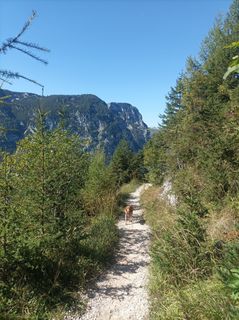 Foto von Peter Mittermayer 1 entlang der Tour