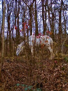 Fotografie z Kellner Heidi na trase