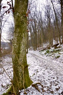 Fotografija s spletne strani Kellner Heidi na poti