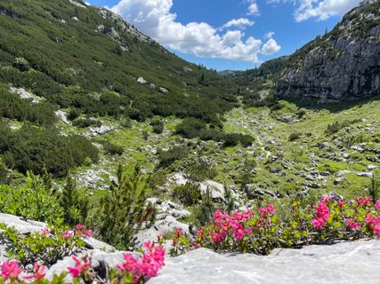 Foto von Michael Bauer entlang der Tour
