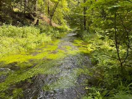 Fotografie z Norbert Herbig na trase
