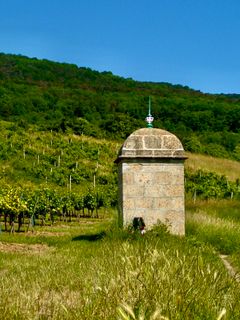 Photo de Kellner Heidi le long du parcours