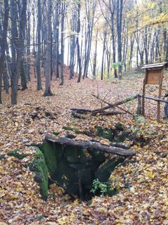 Fotografia z Ferenc Kiss na trase