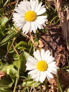 Foto von Kellner Heidi entlang der Tour