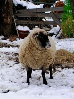 Fotografia z Kellner Heidi na trase