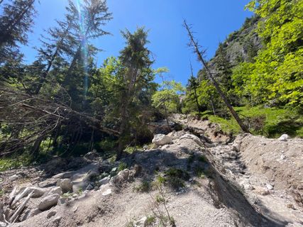 Photo de Roykepp le long du parcours