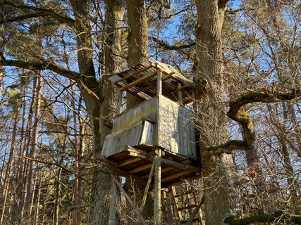 Foto de Norbert Herbig a lo largo del recorrido