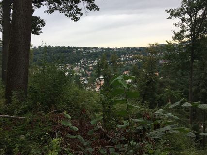 Fotografija s spletne strani Ralf Umminger na poti