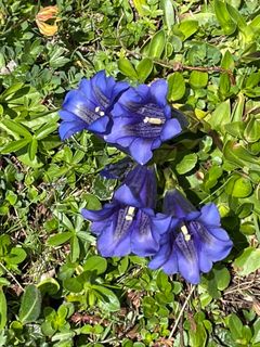 Fotografija s spletne strani Michael Bauer na poti