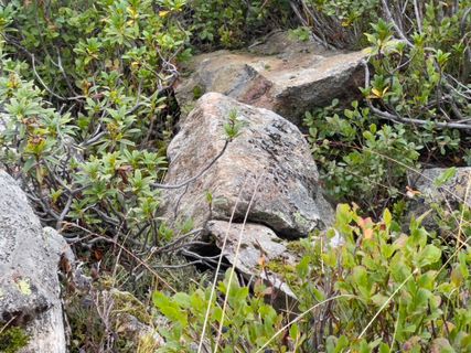 Photo de GabrielSR76 le long du parcours