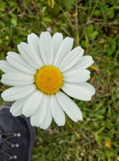 Fotografija s spletne strani Jörg Rost na poti
