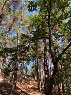Foto von Wolfgang Manstein entlang der Tour