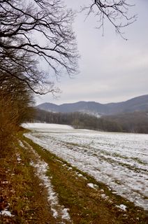 Zdjęcie z Kellner Heidi wzdłuż trasy