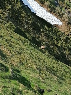 Foto von Hermann Gruber 1 entlang der Tour