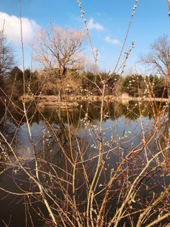 Zdjęcie z Kellner Heidi wzdłuż trasy