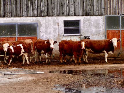 Fotografie z Kellner Heidi na trase