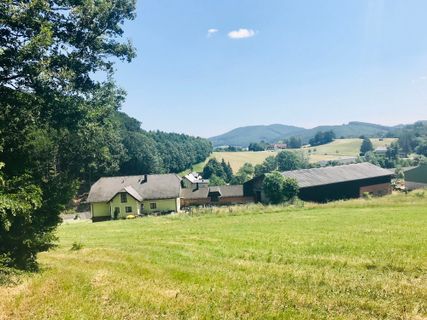 Foto von Kellner Heidi entlang der Tour