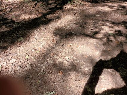 Foto de Gabriele Cucchi a lo largo del recorrido