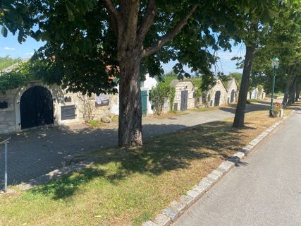Photo de Manfred Tschelisnig le long du parcours