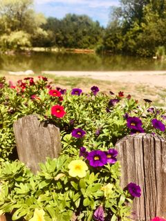 Zdjęcie z Kellner Heidi wzdłuż trasy