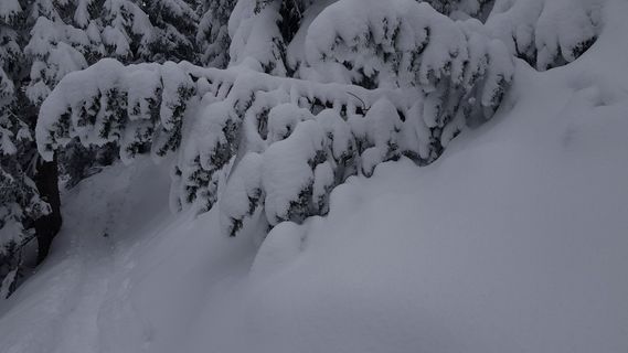 Fotografija s spletne strani Harald na poti
