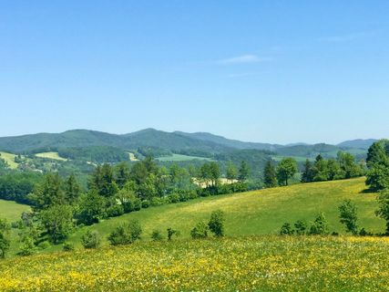 Foto von Kellner Heidi entlang der Tour