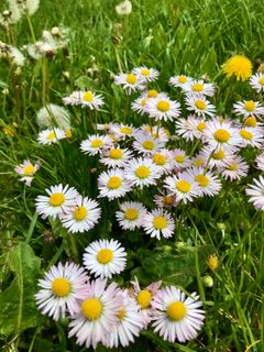 Photo de Kellner Heidi le long du parcours