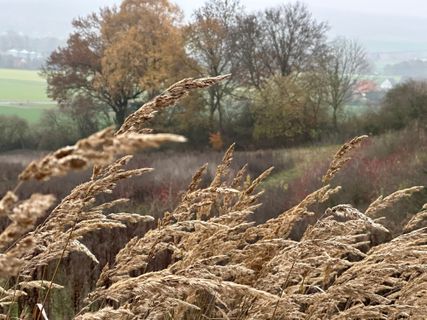 Fotografia z Norbert Herbig na trase