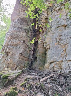 Zdjęcie z Jaap Rozeboom wzdłuż trasy