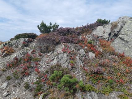 Photo de mmecki le long du parcours