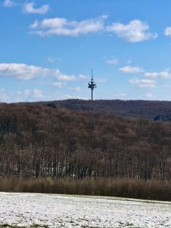 Foto de Kellner Heidi a lo largo del recorrido