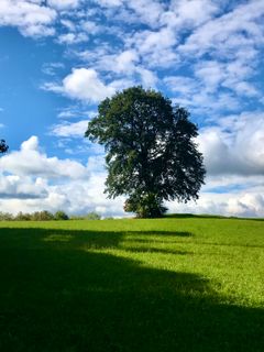 Foto von Kellner Heidi entlang der Tour