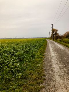 Photo de Kellner Heidi le long du parcours