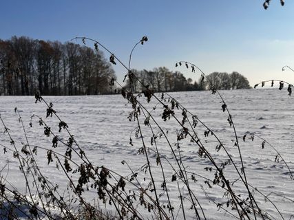 Photo de Norbert Herbig le long du parcours