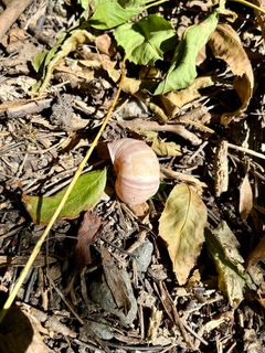 Fotografie z Nicole Hundertmark na trase