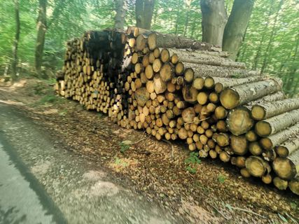 Foto de Bernd Schmitt a lo largo del recorrido