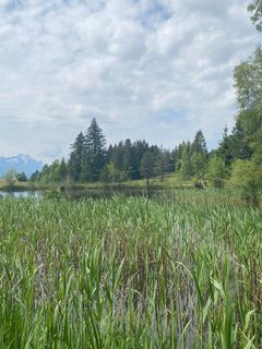 Foto von Passport1405 entlang der Tour