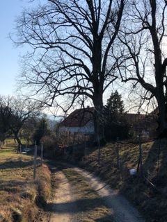 Fotografia z Barbara Schober na trase